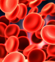 Save 15% on Human Hematopoietic Peripheral Blood Cells. Use HPBC122 to order online by January 31