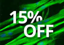 Save 15% on Smooth & Skeletal Muscle Cells From Lifeline.