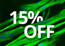 Save 15% on Smooth & Skeletal Muscle Cells From Lifeline.