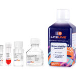 BronchiaLife™ Epithelial Airway Medium Complete Kit