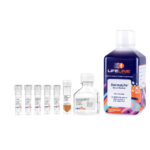 DermaLife Ma Melanocyte Medium Complete Kit