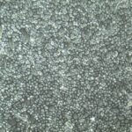 FC-0016 Small Airway Epithelial Cells, Primary, 10X