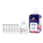 FibroLife Fibroblast Serum Free Medium Complete Kit