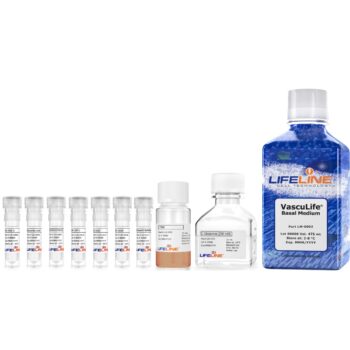 VascuLife VEGF Endothelial Medium Complete Kit LL-0003