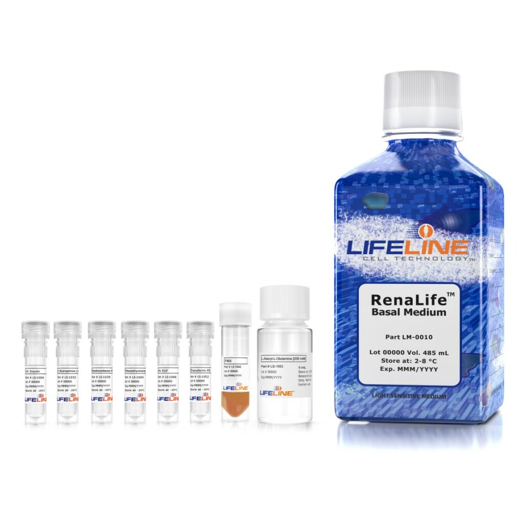 Renal Epithelial Cell Culture Medium Kit