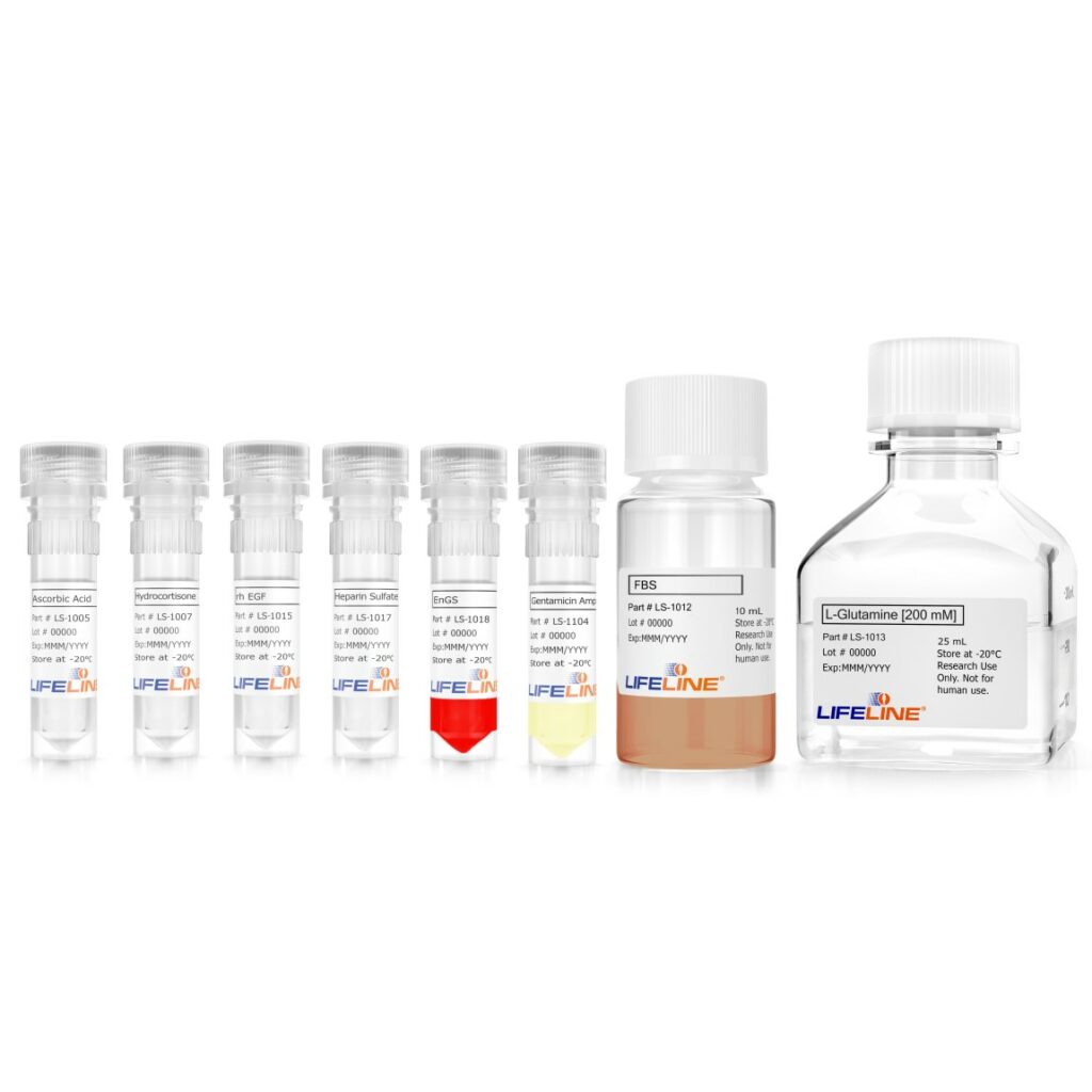VascuLife Endothelial Basal Medium
