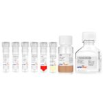 LS-1019 VascuLife EnGS LifeFactors Kit