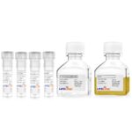 LS-1040 VascuLife SMC LifeFactors Kit