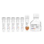 LS-1063 DermaLife Ma LifeFactors Kit