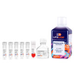 MammaryLife ™ Epithelial Medium Complete Kit