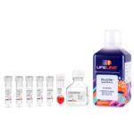 OcuLife &trade; Epithelial Medium Complete Kit