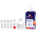 ProstaLife ™ Epithelial Medium Complete Kit