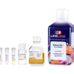 StemLife MSC-BM Bone Marrow Medium Complete Kit