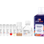 VascuLife® EnGS Endothelial Medium Complete Kit