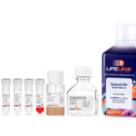 VascuLife® EnGS-Mv Microvascular Endothelial Kit