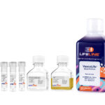 VascuLife® SMC Medium Complete Kit