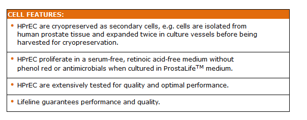 Prostate Epithelial Cells Features