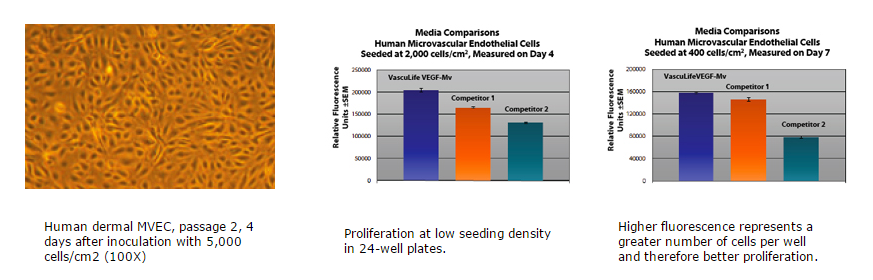 Cell Seeding Density Chart