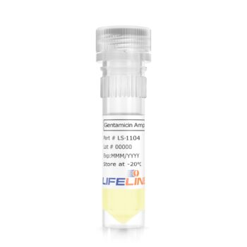 LS-1104 Gentamicin Amphotericin B