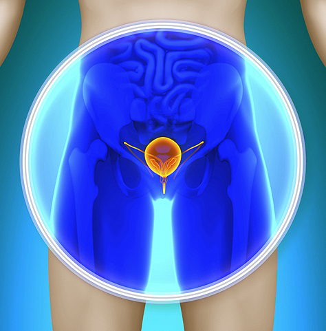 Prostate Epithelial Cells To Isolate Prostate Cancer Stem Cells - 