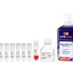 ReproLife&trade; CX Cervical Epithelial Medium Kit