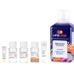 StemLife NSC Medium + Fibronectin Kit