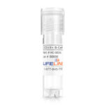 Human CD19+ B Cells HC-0031