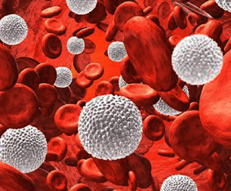 Blood Cell Products for Research from Lifeline