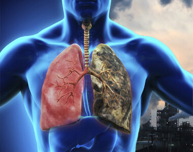 Primary Smooth Muscle Cells in Research