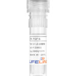 LS-1089-rh-FGF-b
